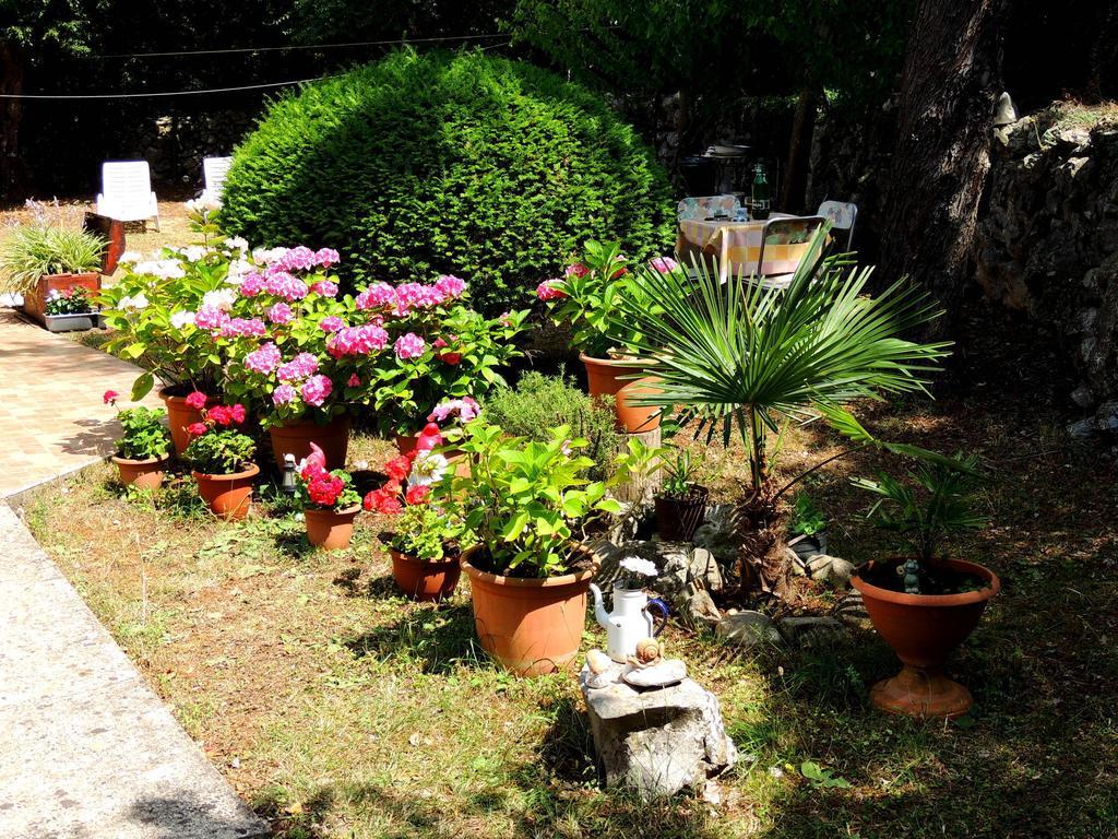 Apartment Angela Malinska Luaran gambar